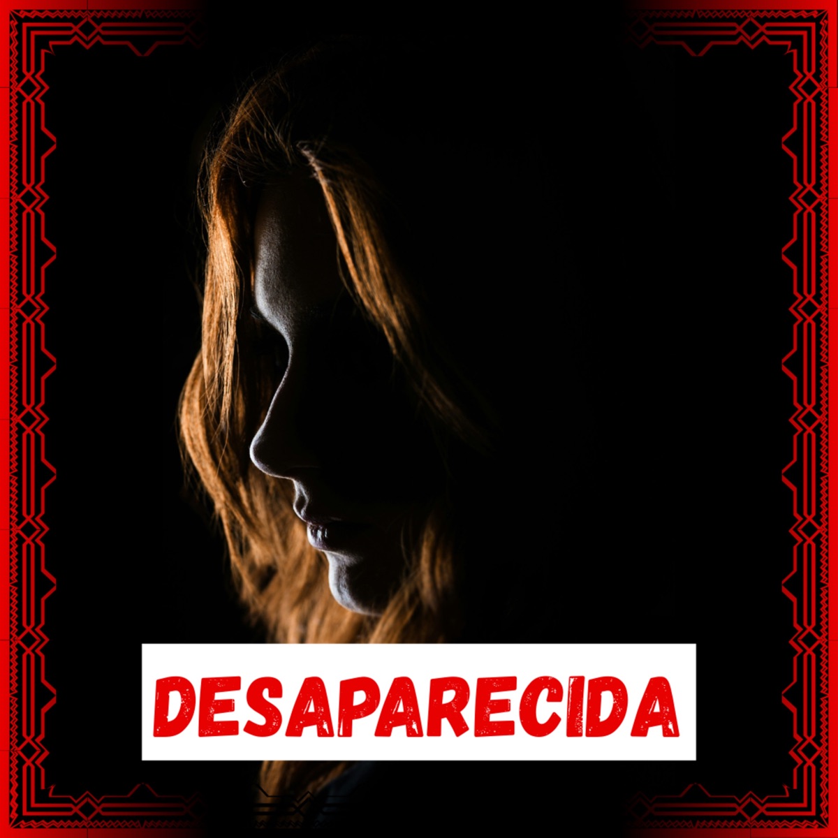 Desaparecida - Single by MC ZS & dj v original album cover