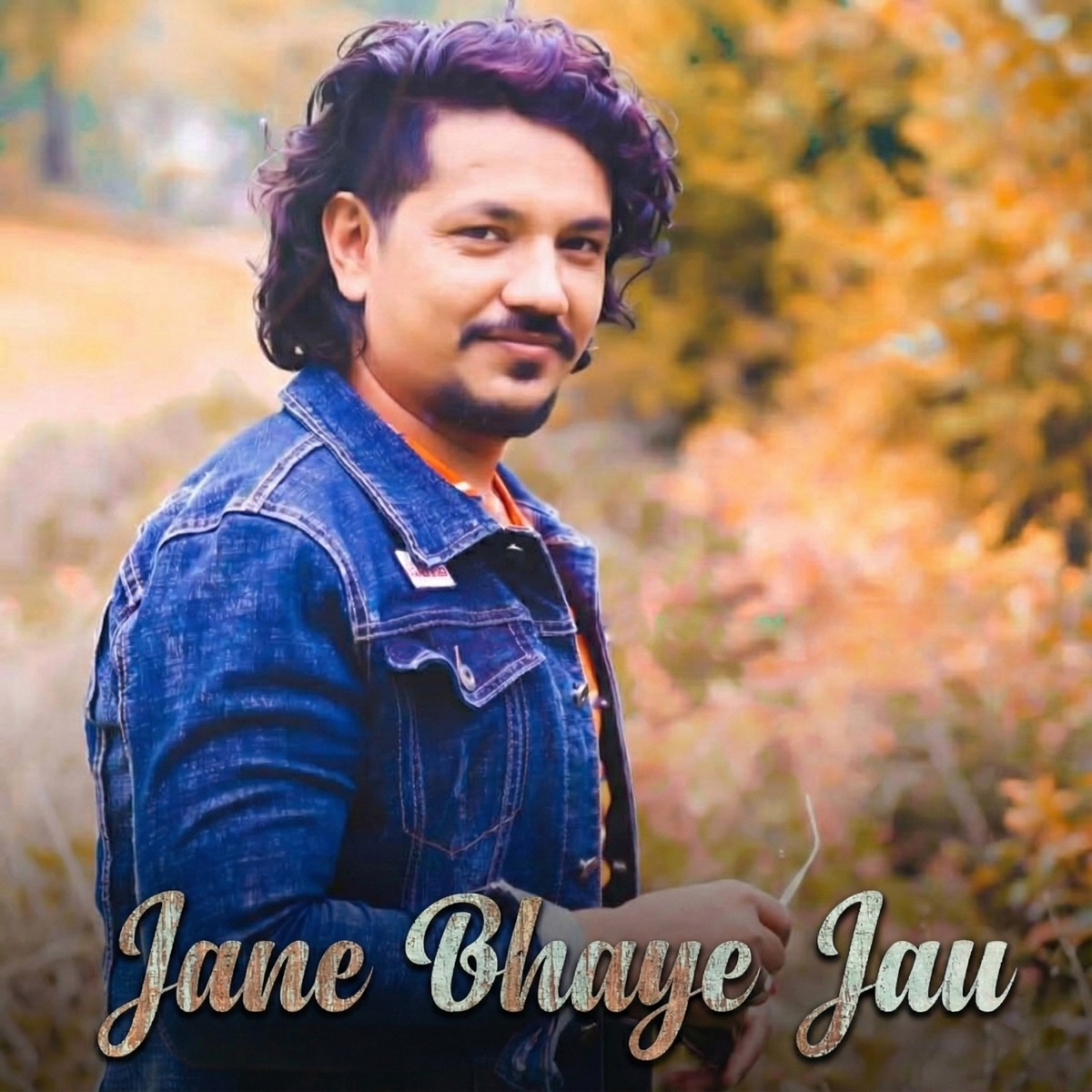 Jane Bhaye Jau - Single by Manoj Chaulagain & Rupak Dotel album cover