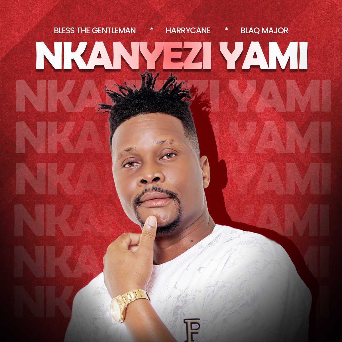 Nkanyezi Yami (feat. Harrycane & Blaq Major) - Single by Bless the Gentleman album cover