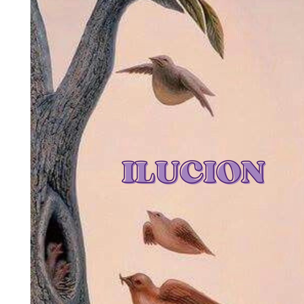 ILUCION - Single by MC Master album cover