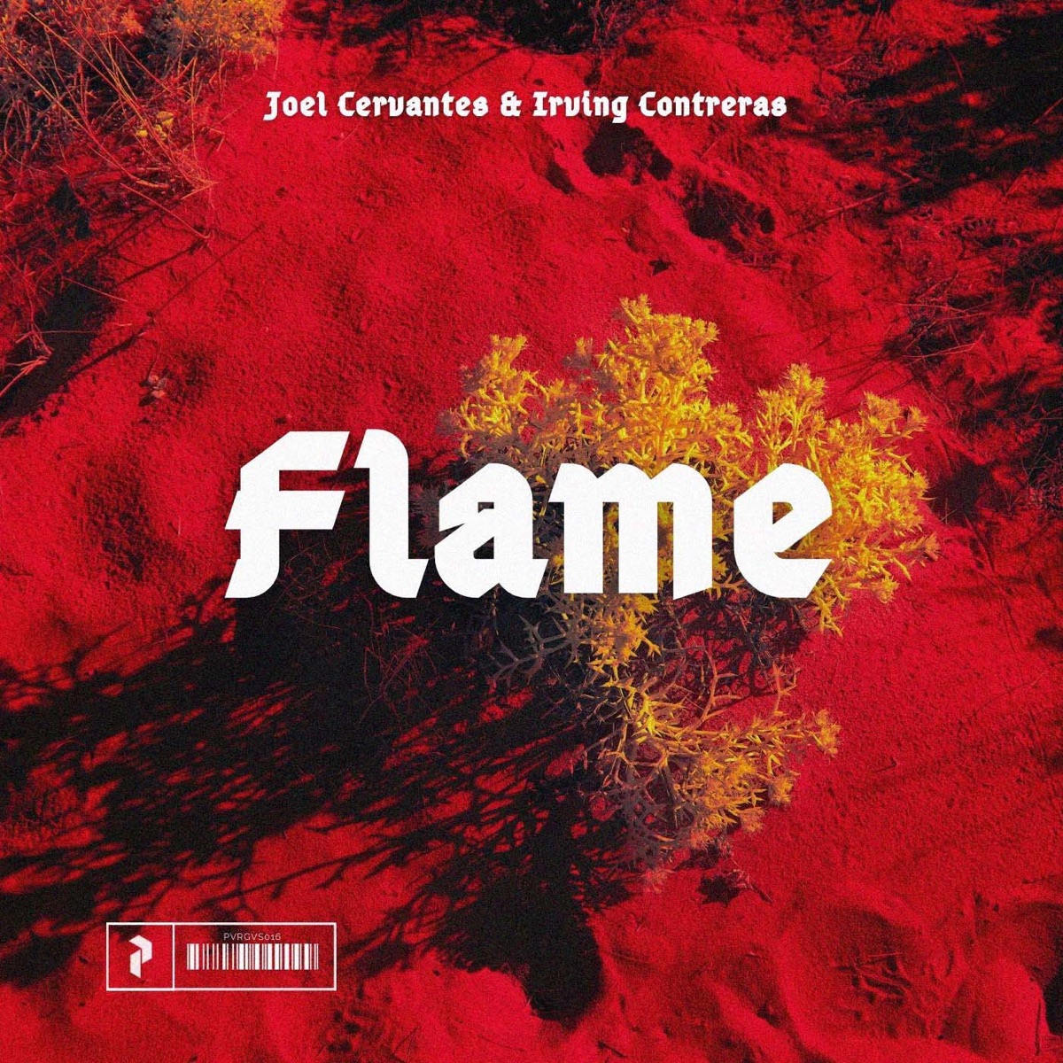 Flame - Single by Irving Contreras & Joel Cervantes album cover