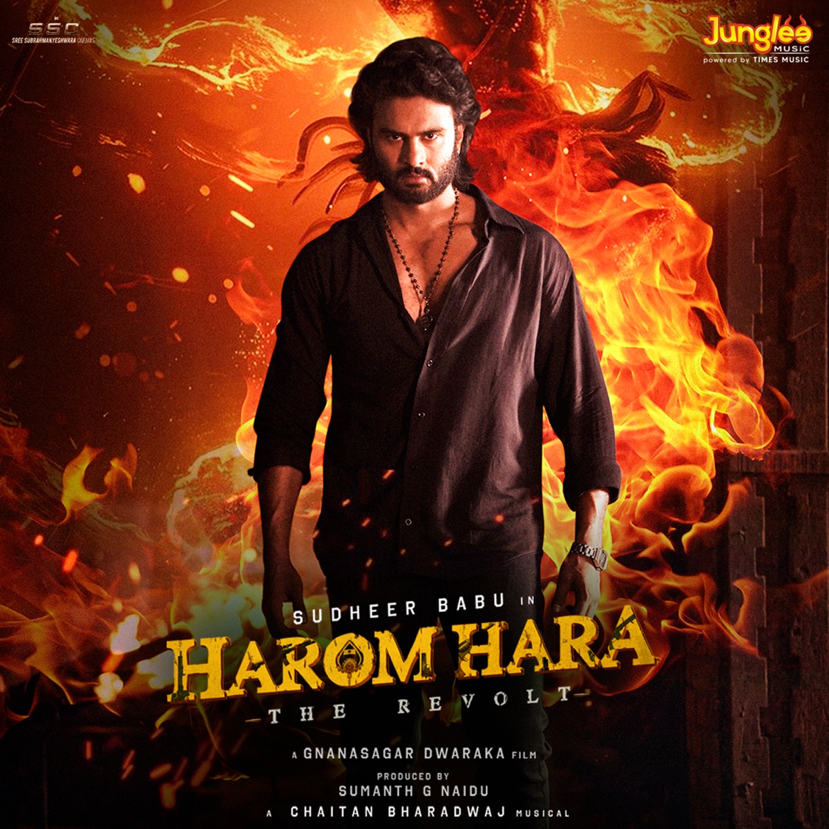 Harom Hara (Original Motion Picture Soundtrack) by Chaitan Bharadwaj, Kalyanchakravarthy Tripuraneni, Vengi Sudhakar, Sanapati Bharadwaj Patrudu & Sri Harsha Emani album cover