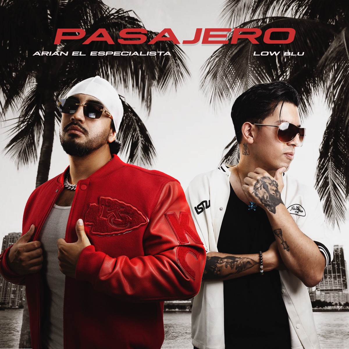 Pasajero - Single by Arian El Especialista & Low Blu album cover