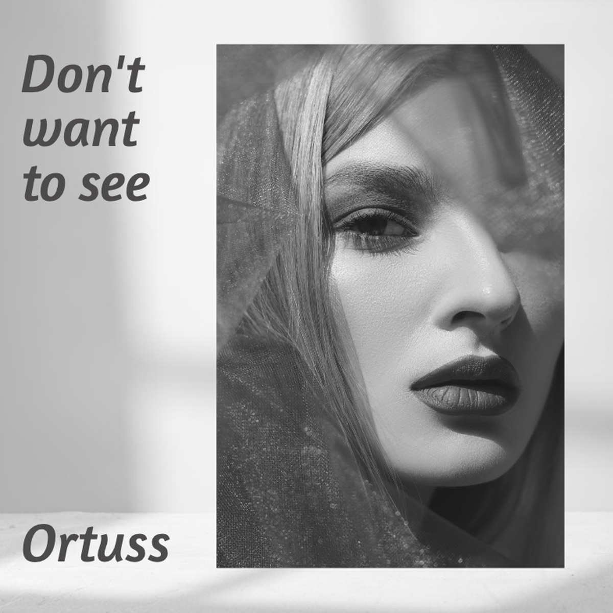 Dont Want to See - Single by Ortuss album cover