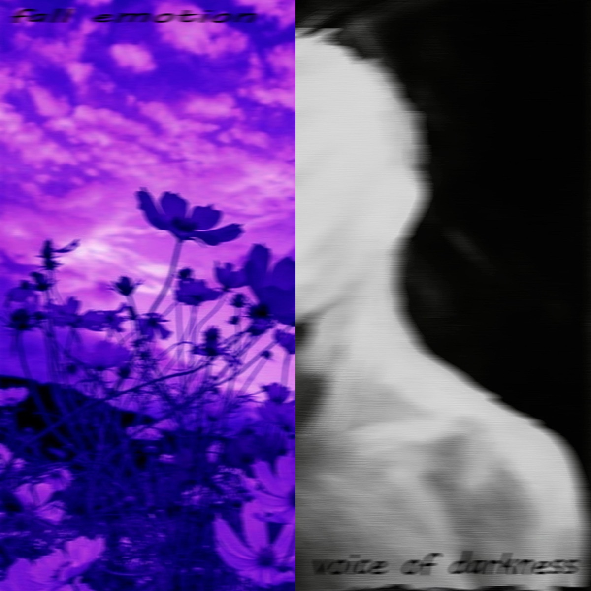 emotions in darkness - Single by Adrex.S & ambient.wav album cover