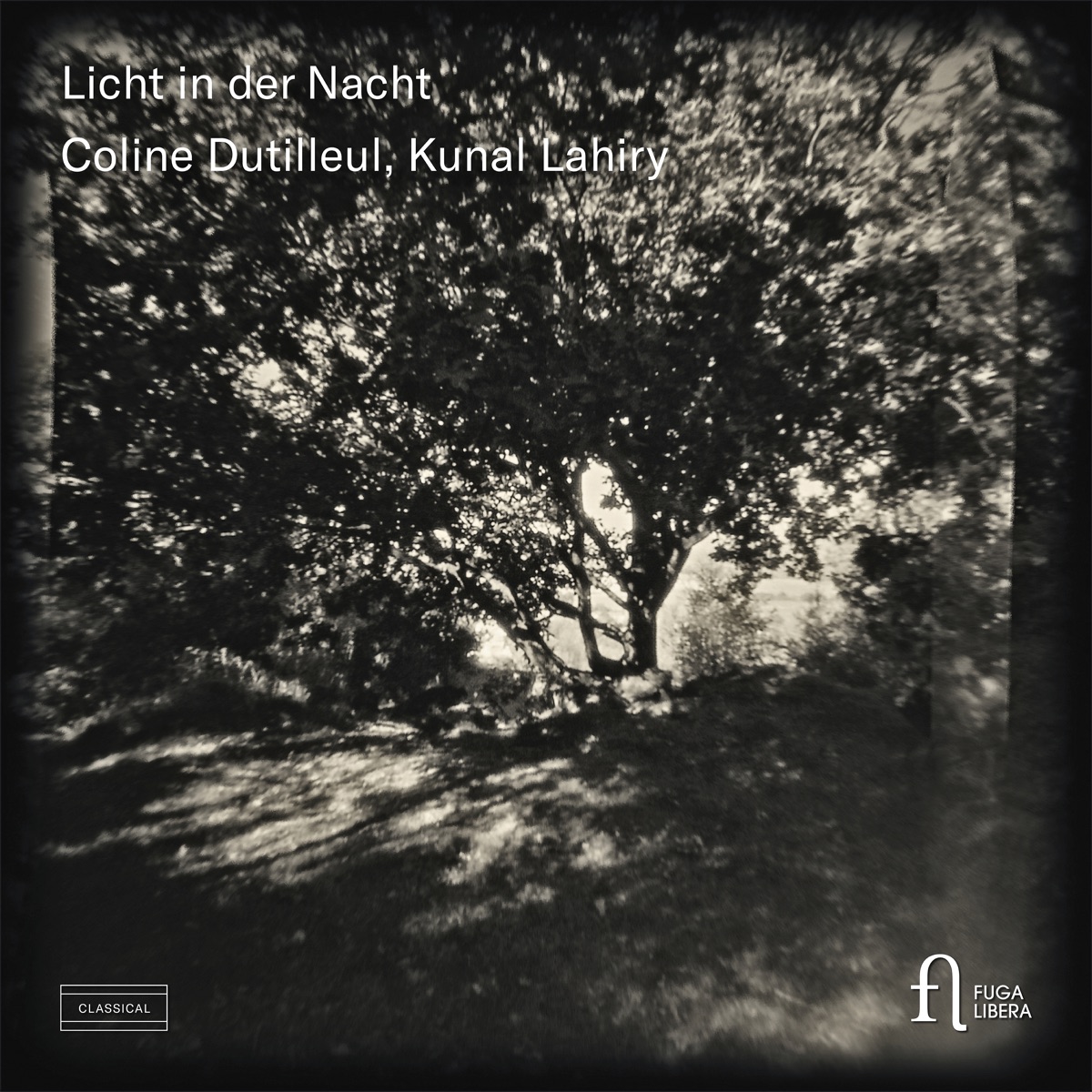 Licht in der Nacht by Coline Dutilleul & Kunal Lahiry album cover