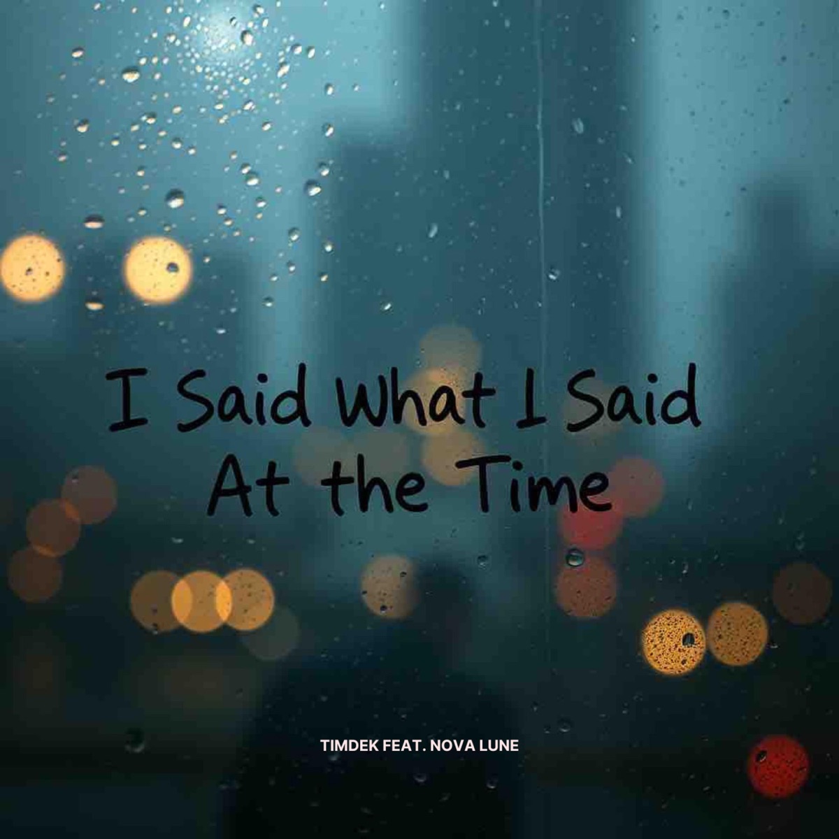 I Said What I Said At The Time (feat. Nova Lune) - Single by Timdek album cover