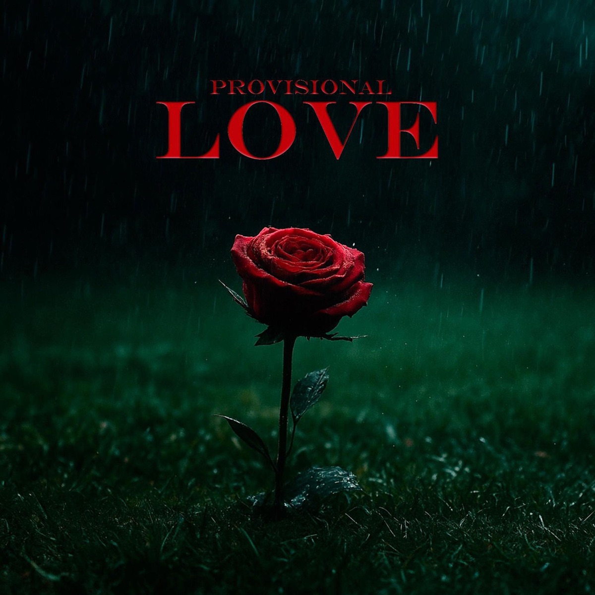 Provisional Love - Single by Calejos Yoyo album cover
