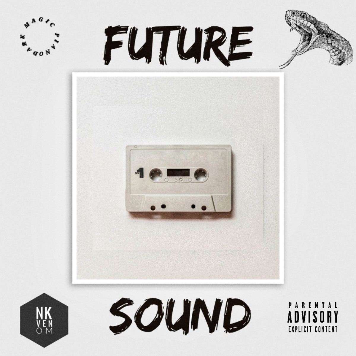 Future Sound by NK Venom album cover