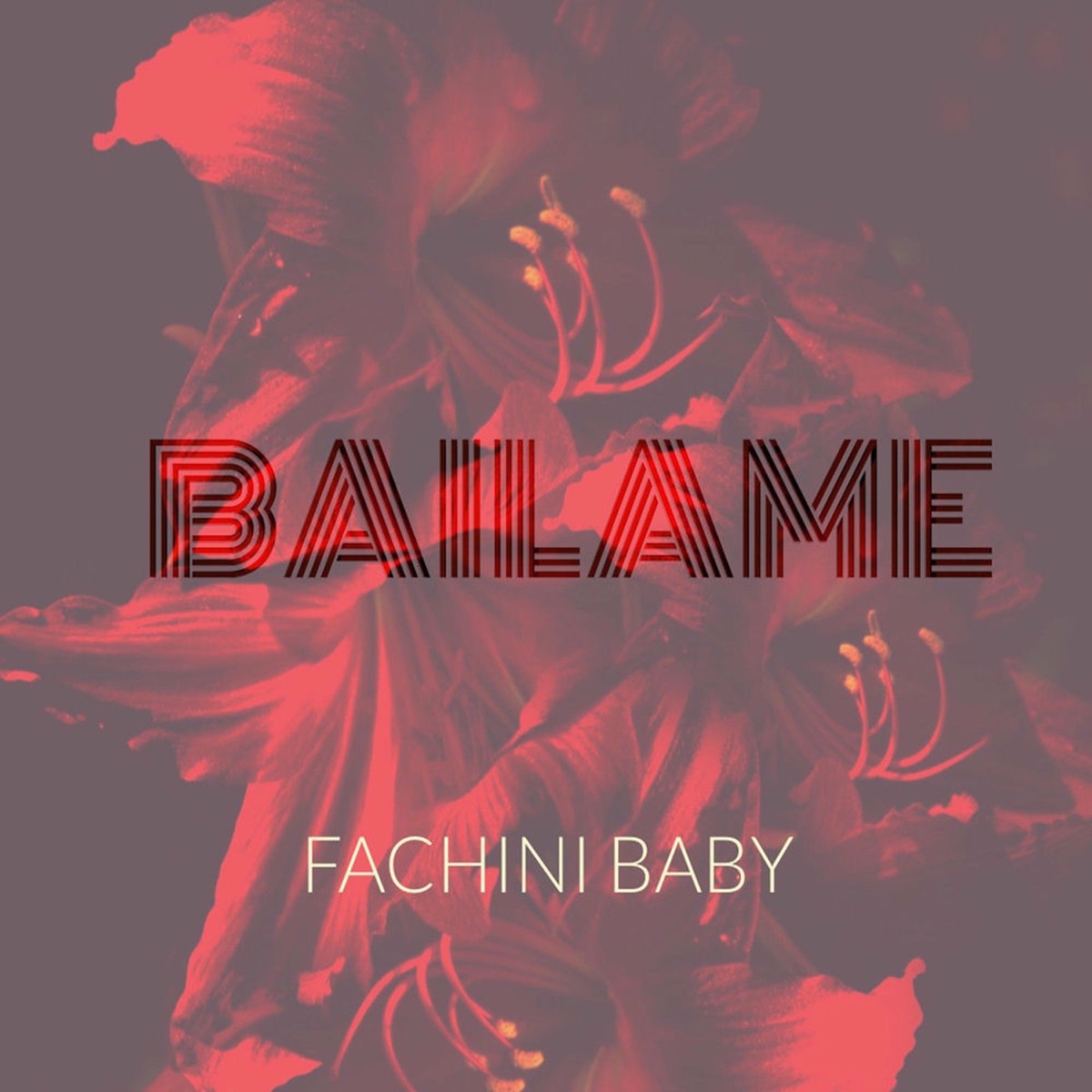 Báilame - Single by Fachini Baby album cover