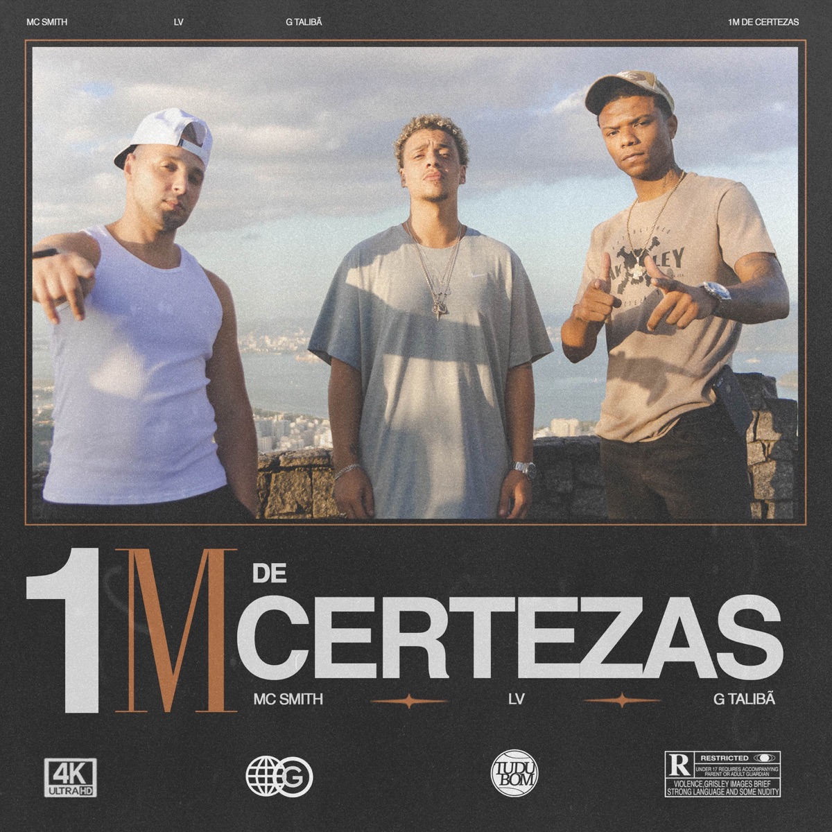 1M De Certezas (feat. Mc Smith) - Single by Tudubom, LV & Mc G da Provi album cover
