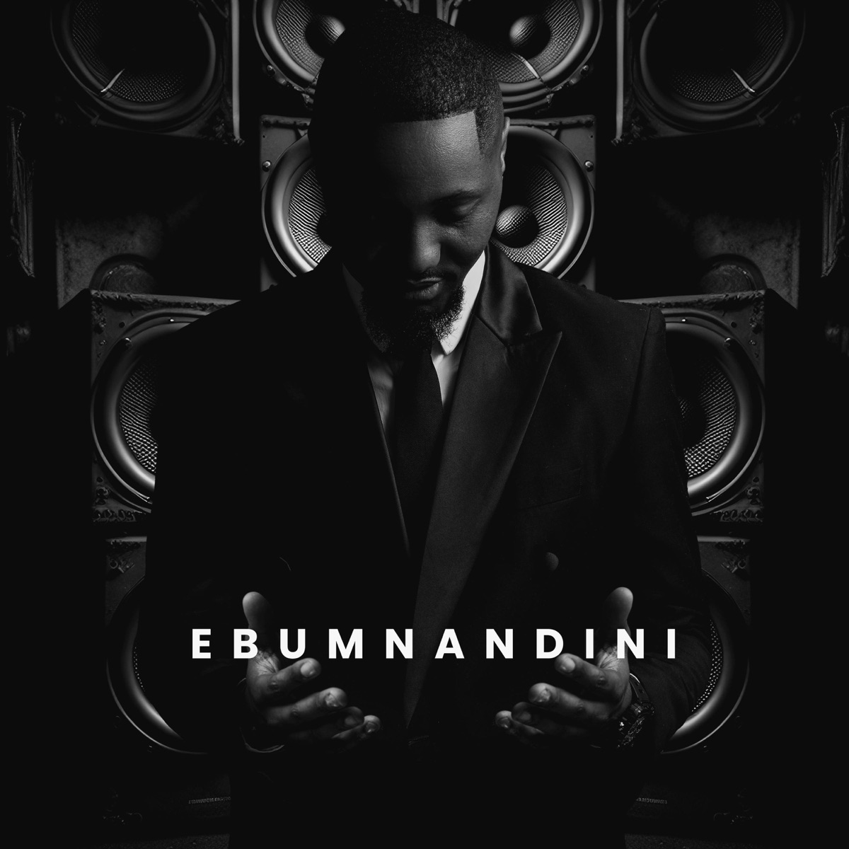 Ebumnandini by Shaun Stylist album cover