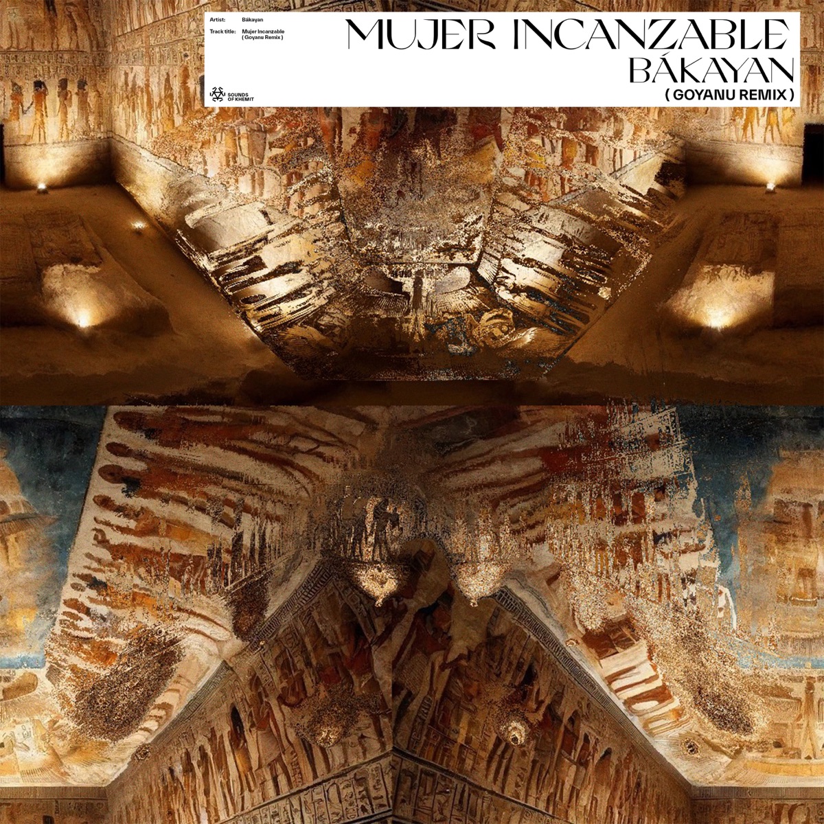 Mujer Inalcanzable (Goyanu Remix) - Single by Goyanu album cover