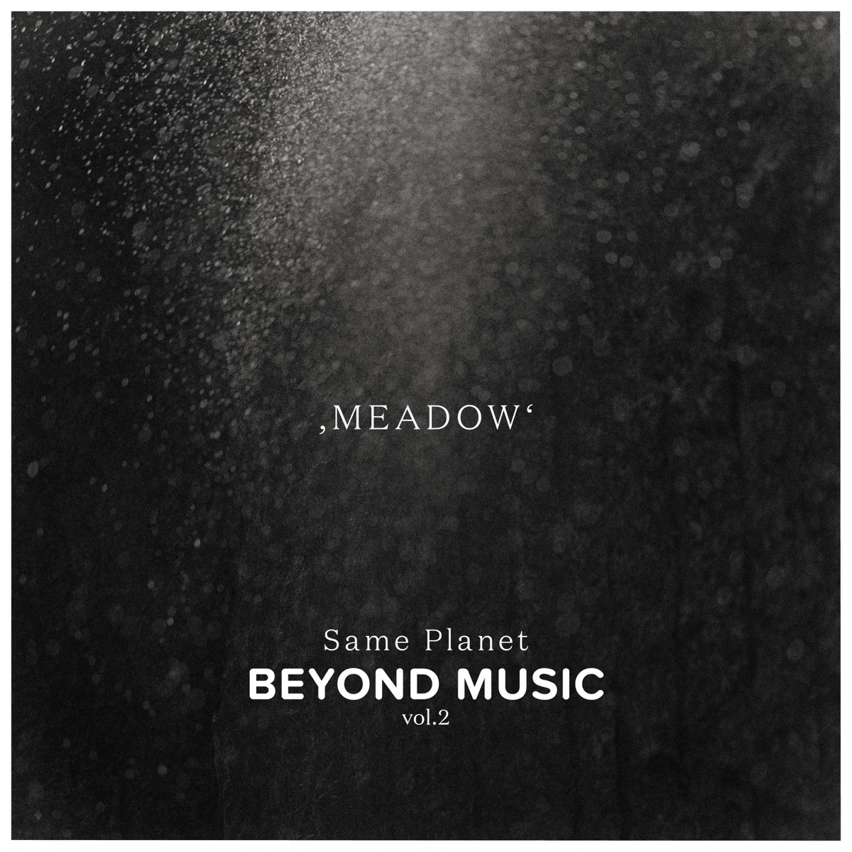 Meadow (feat. Dyllann, Mariana Baraj, Anat Porat, Mathias Kielholz & David Stauffacher) - Single by Beyond Music album cover