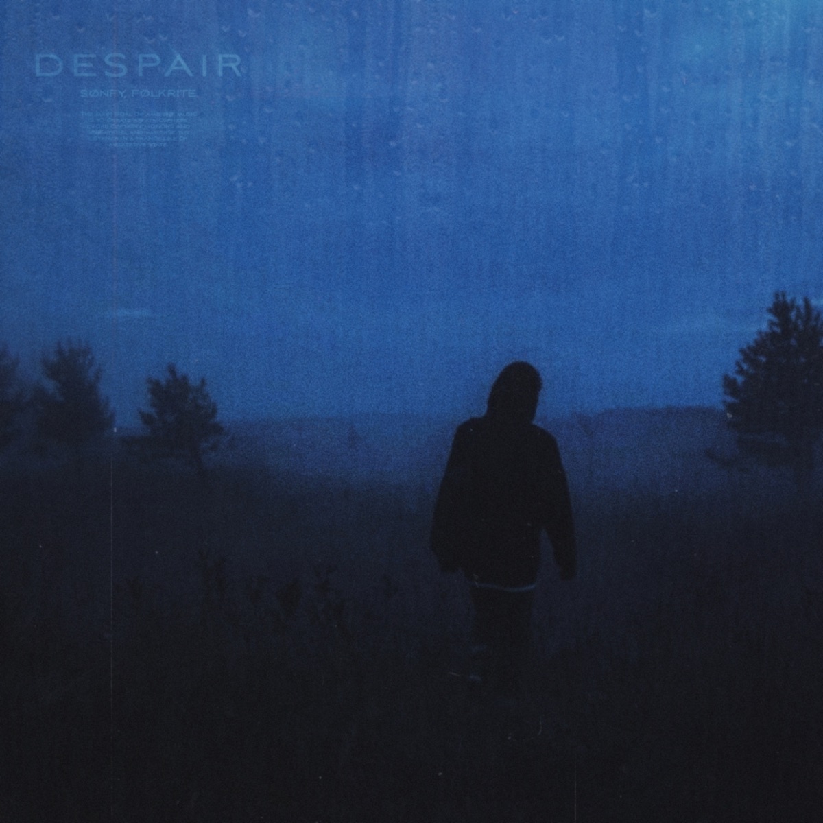 DESPAIR - Single by sønfy & fØlkrite album cover