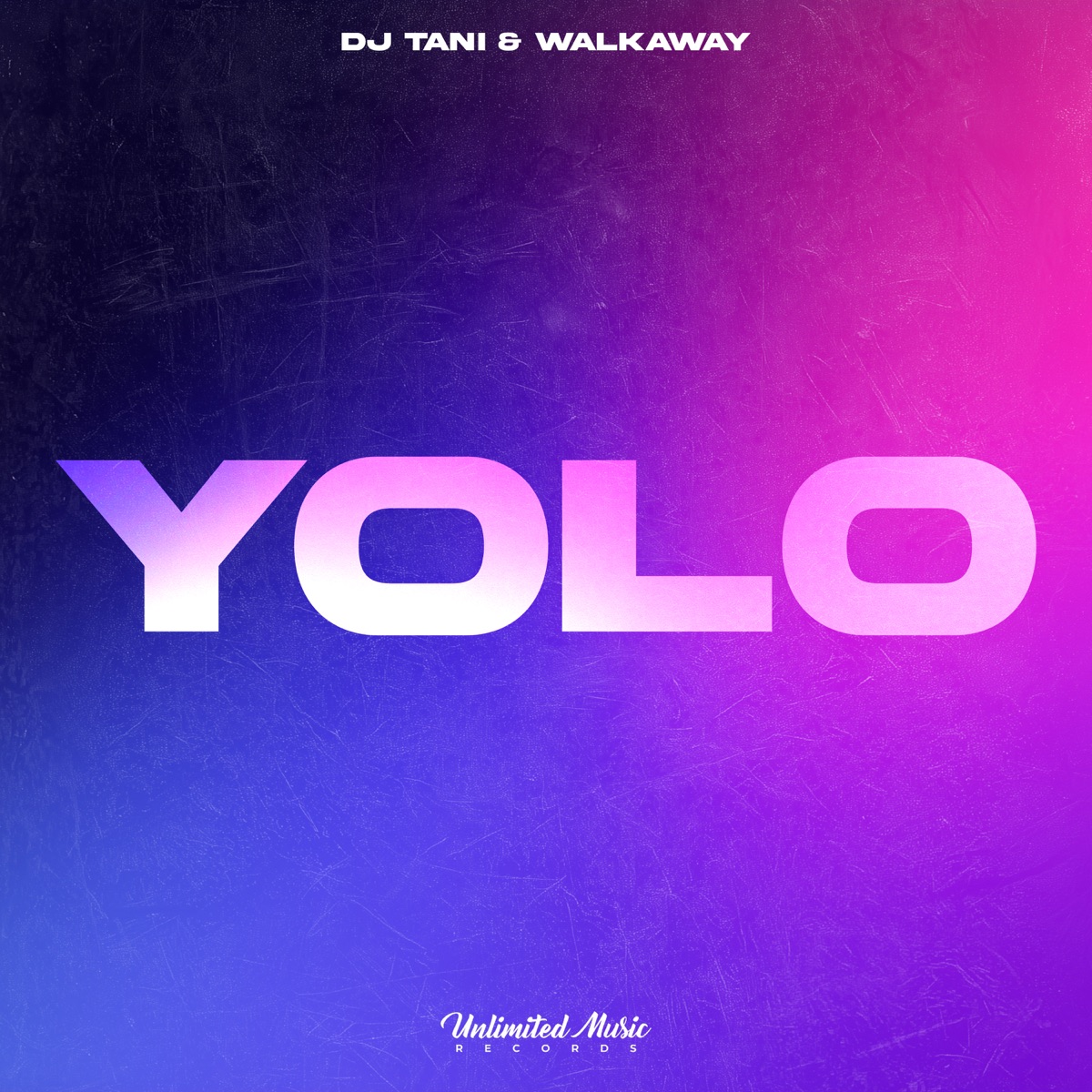Yolo - Single by dj tani & walkaway album cover