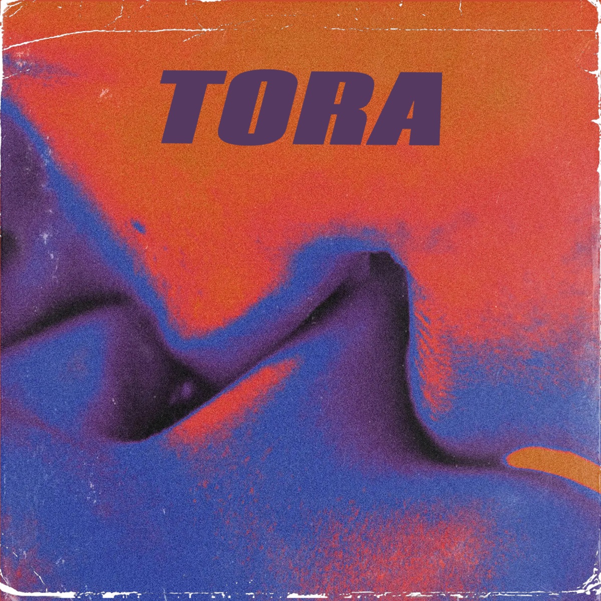 Tora - Single by DJ Danya Voronin album cover