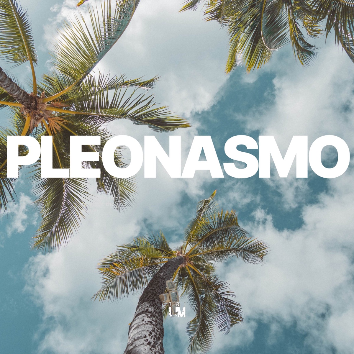 Pleonasmo - Single by TRIUM album cover