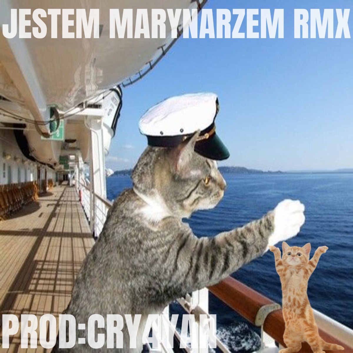 JESTEM MARYNARZEM RMX - Single by cry4yan album cover