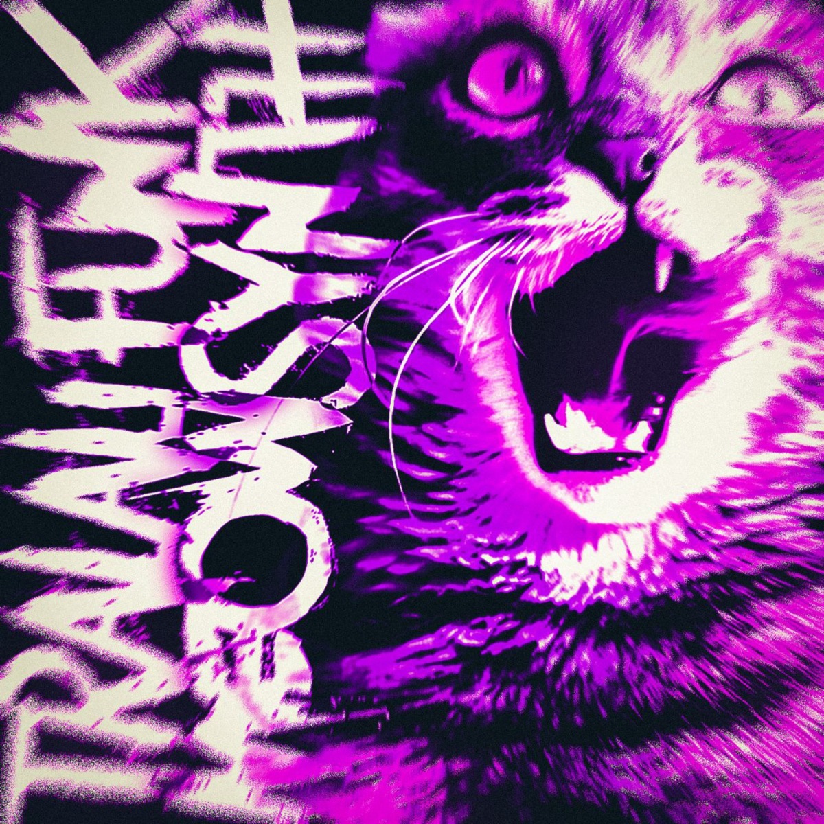 TRALALI FUNK MEOWSYNTH - EP by DJ FRIZER album cover