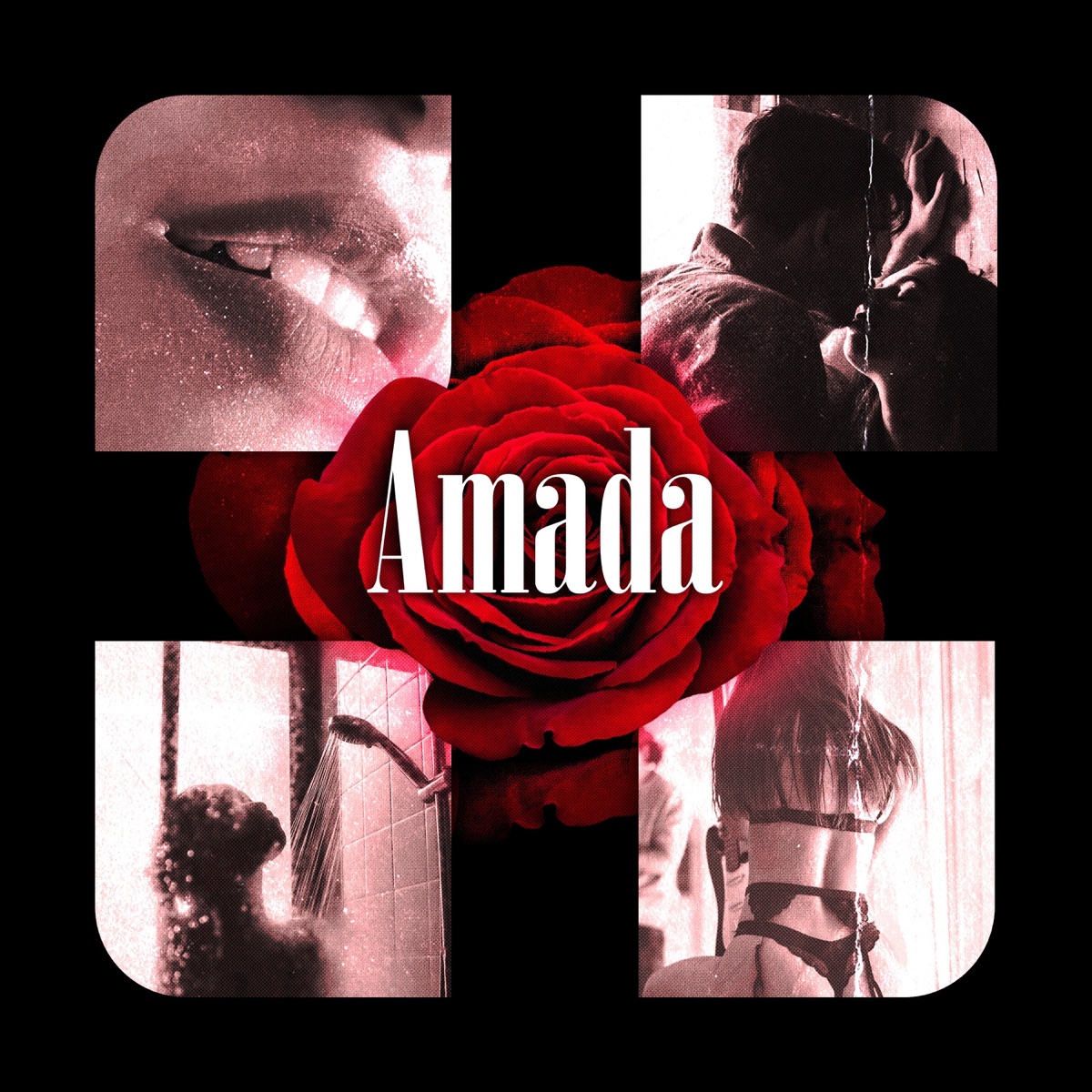 Amada - Single by Jay Lima, Jovem Fenrir & blacka album cover
