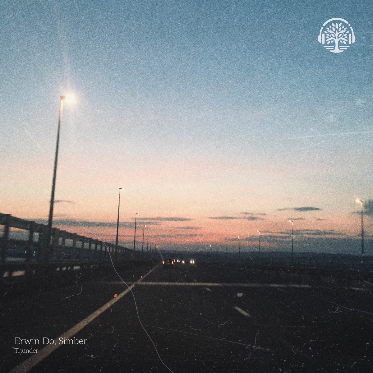 Thunder - Single by Erwin Do & Simber album cover