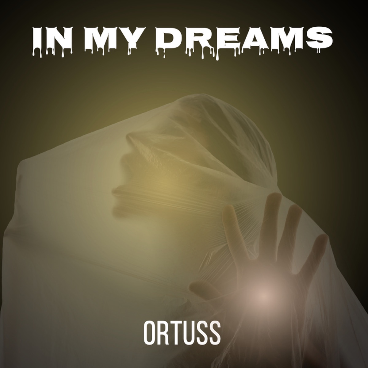 In My Dreams - Single by Ortuss album cover