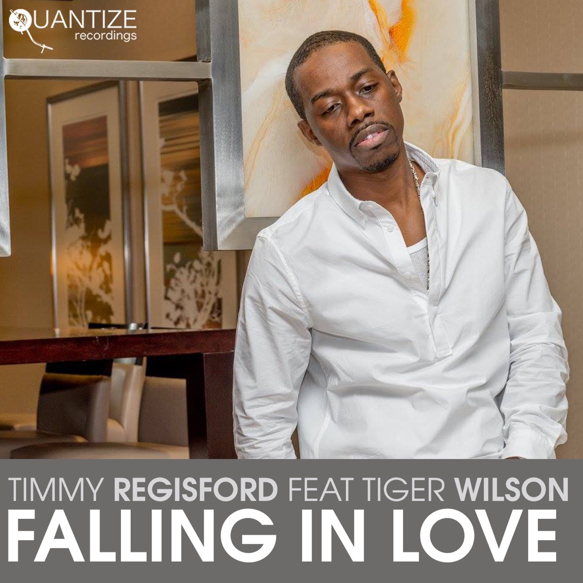 Falling in Love (feat. Tiger Wilson) - EP by Timmy Regisford album cover