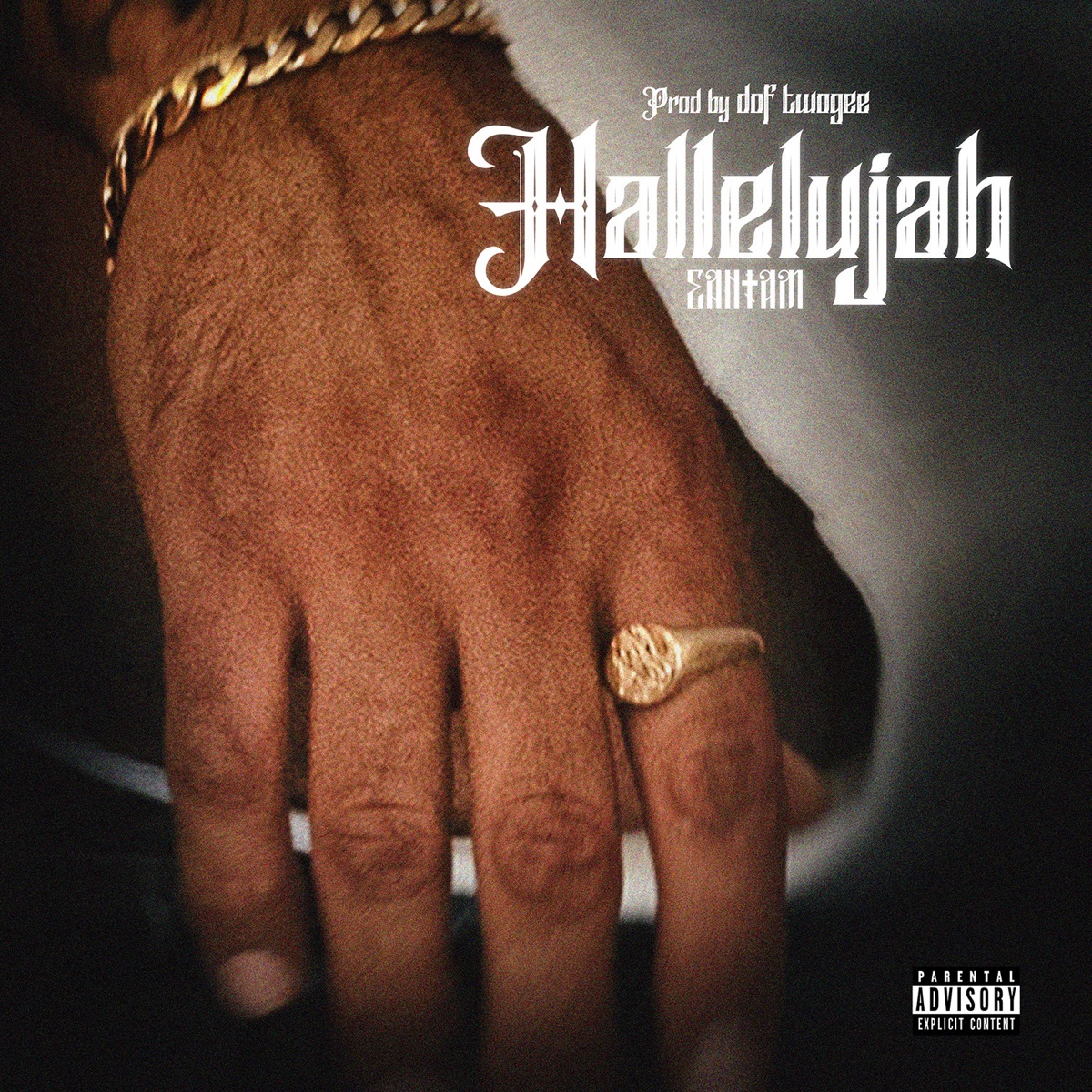 Hallelujah - Single by Sadam & Dof Twogee album cover
