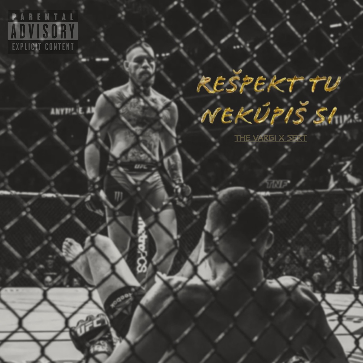 REŠPEKT TU NEKÚPIŠ SI - Single by THE VARGI & Sert album cover