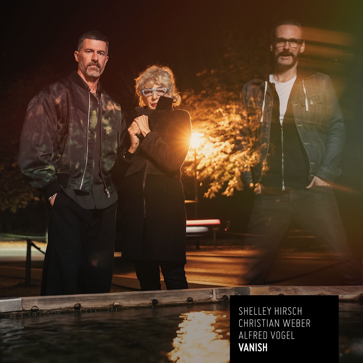 VANISH by Shelley Hirsch, Christian Weber & Alfred Vogel album cover