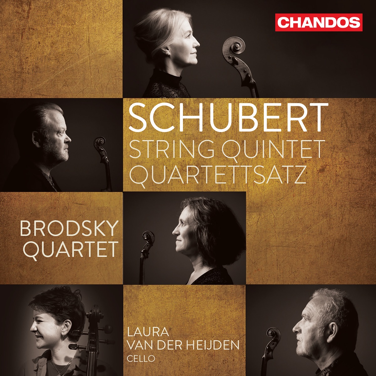 Schubert: String Quintet, Quartettsatz by Brodsky Quartet & Laura van der Heijden album cover