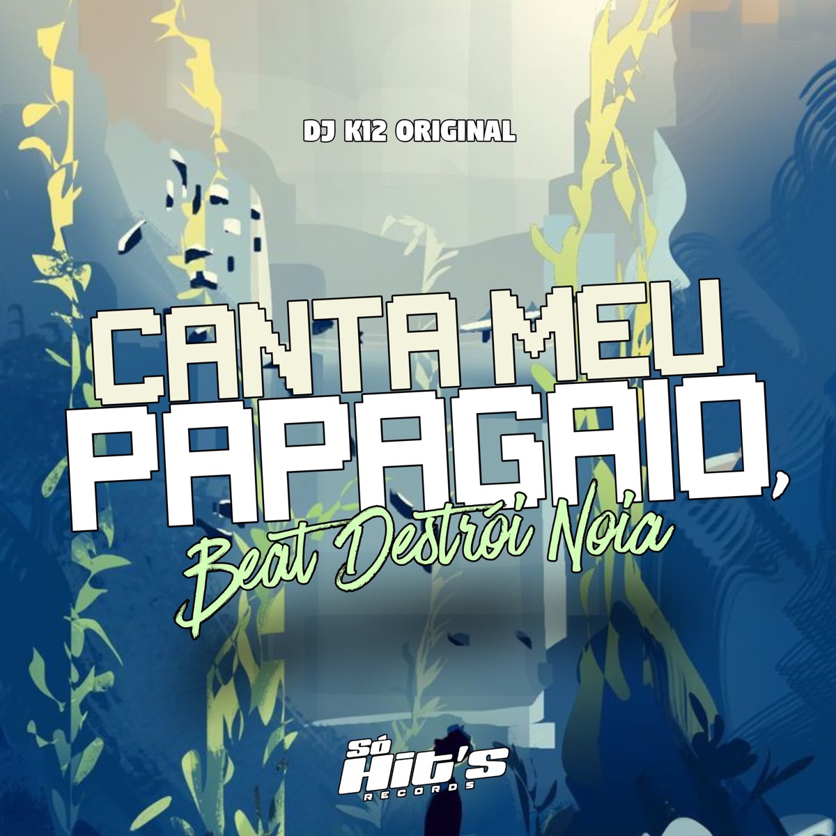 Canta Meu Papagaio, Beat Destroi Noia - Single by DJ K12 ORIGINAL album cover