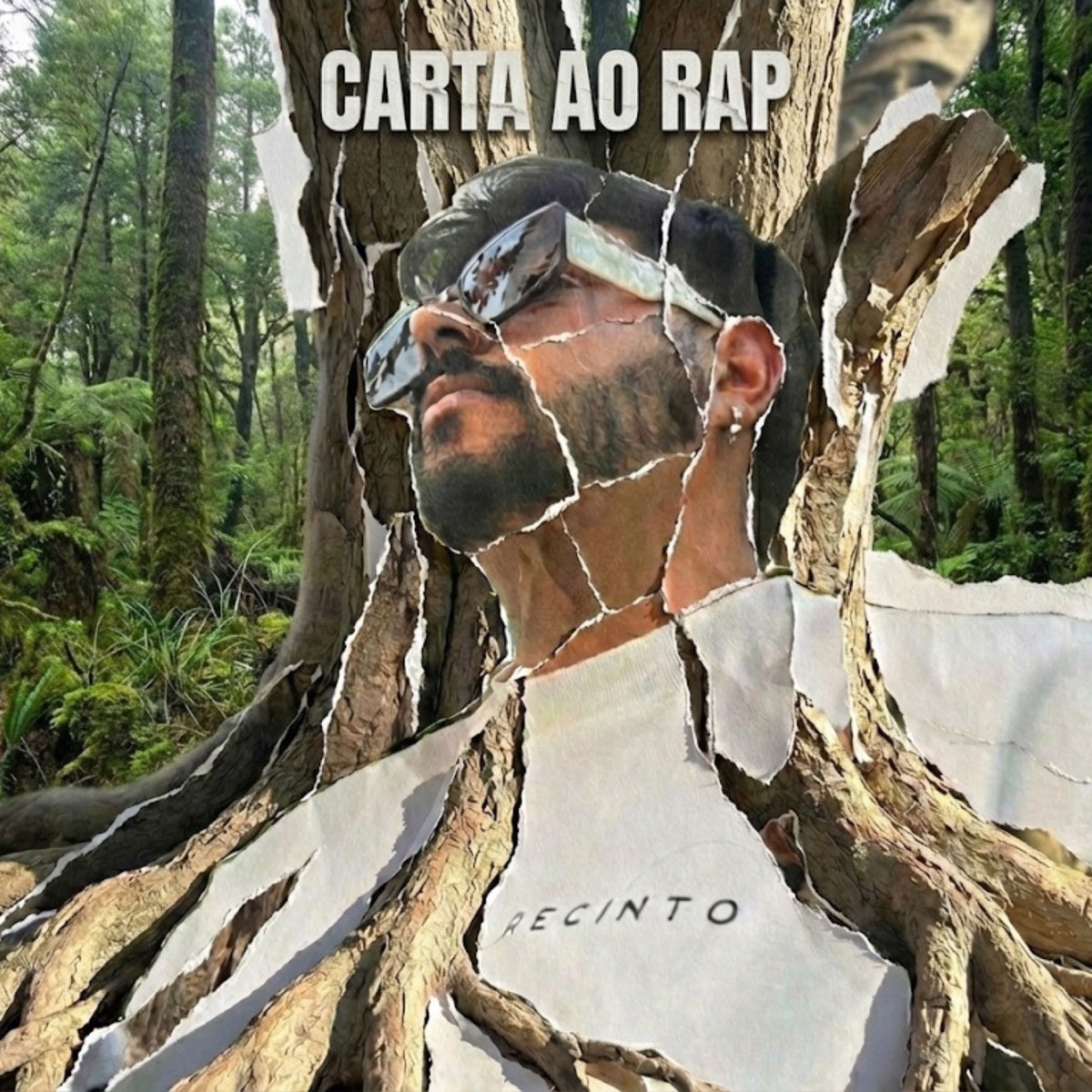Carta ao RAP - Single by Diego Paim album cover