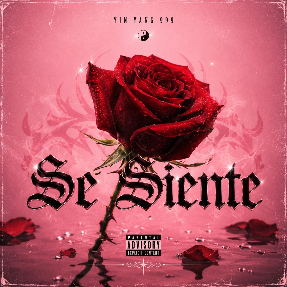 Se Siente - Single by Yin Yang 999 album cover
