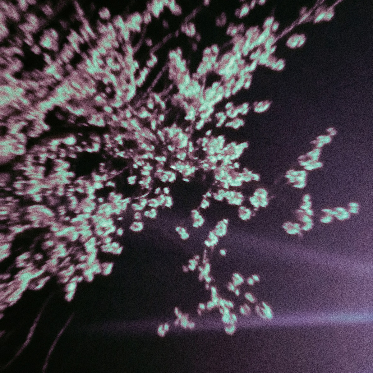 deserve it (slowed & speed up) - Single by alishmeo album cover