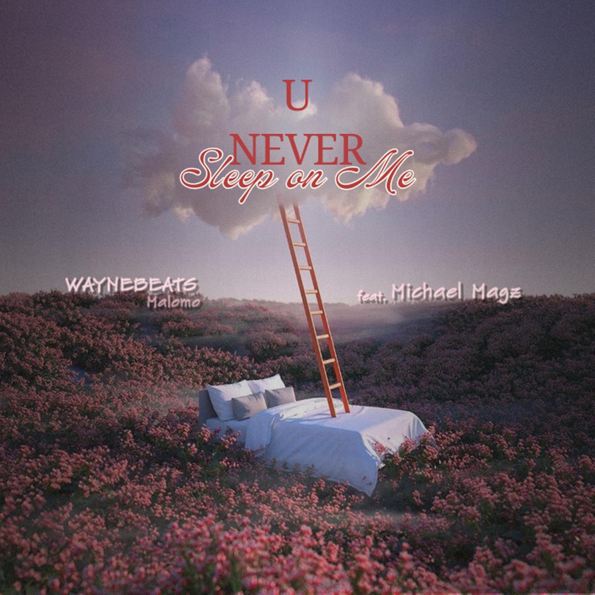 U Never Sleep on Me (feat. Michael_Magz) - Single by WayneBeats Malomo album cover