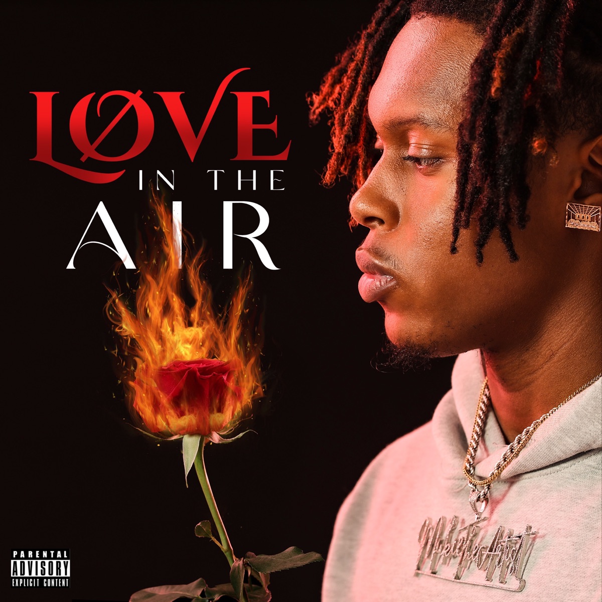Løve In The Air by Mukie The Artist album cover