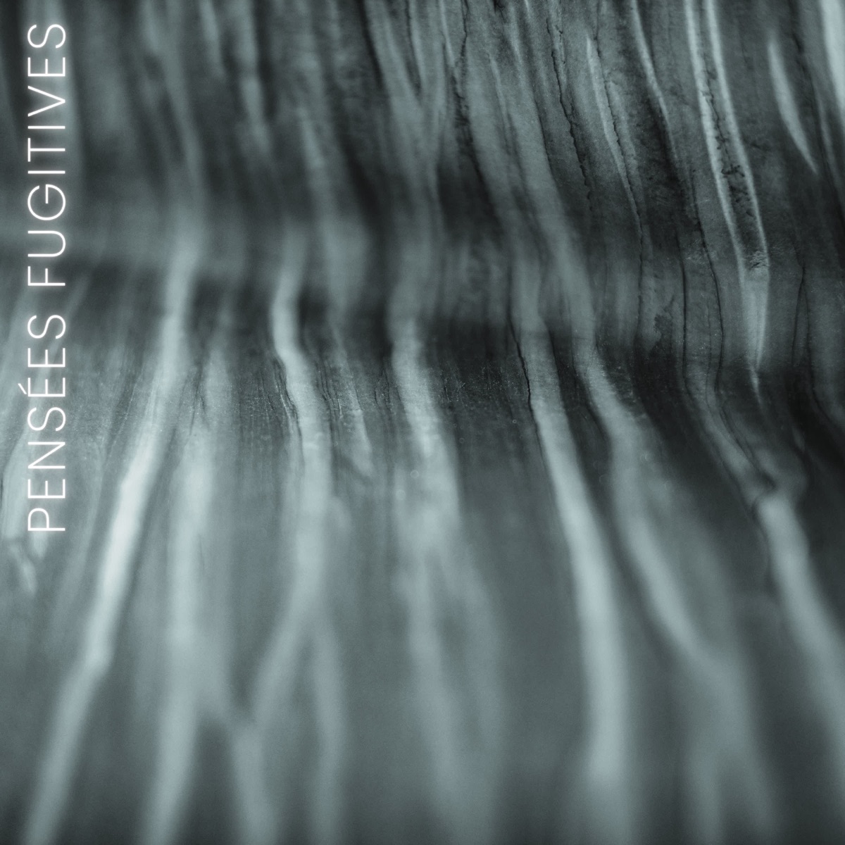 Pensées Fugitives - Single by Anna Szałucka album cover