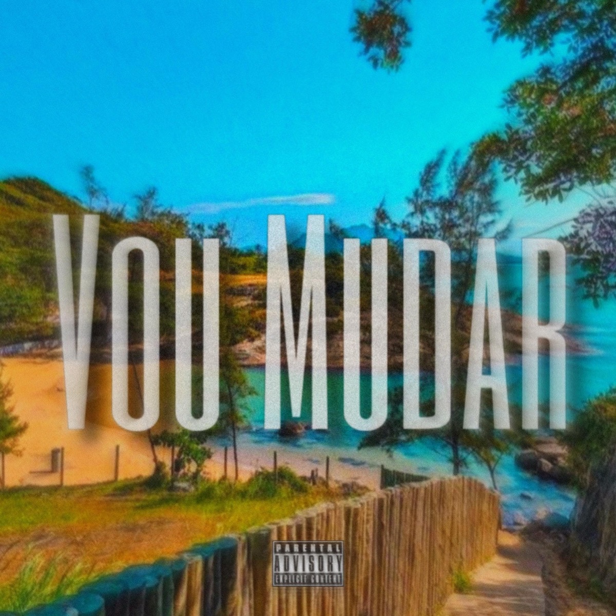 Vou mudar - Single by Lil Mart album cover