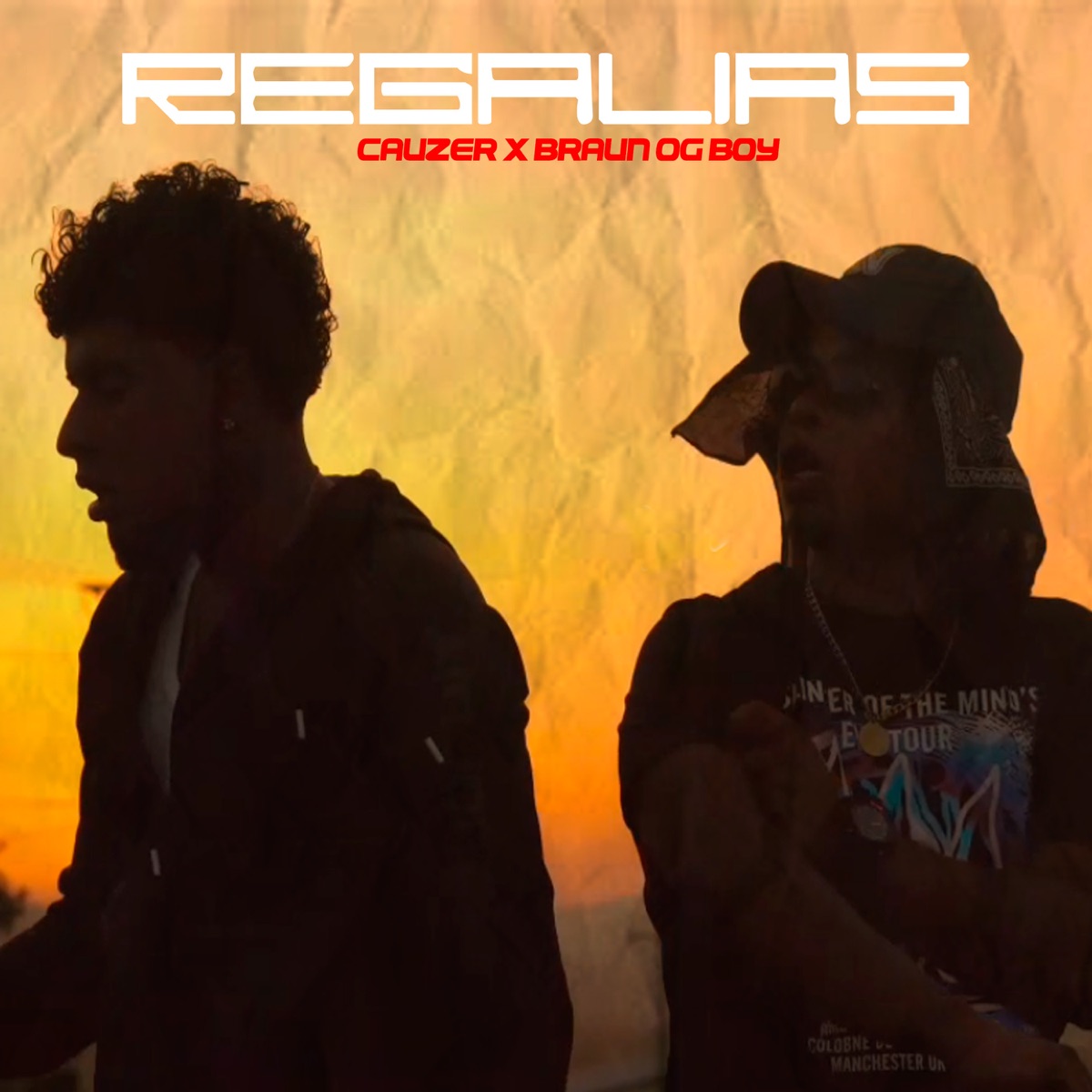 Regalias (feat. Braun Og Boy) - Single by cauzer album cover