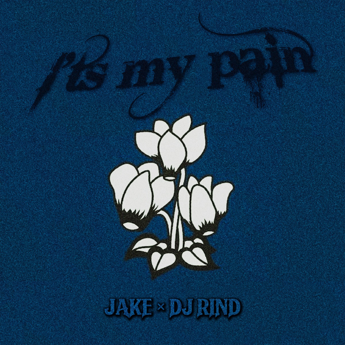 It's My Pain - Single by JAKE×DJ RIND album cover