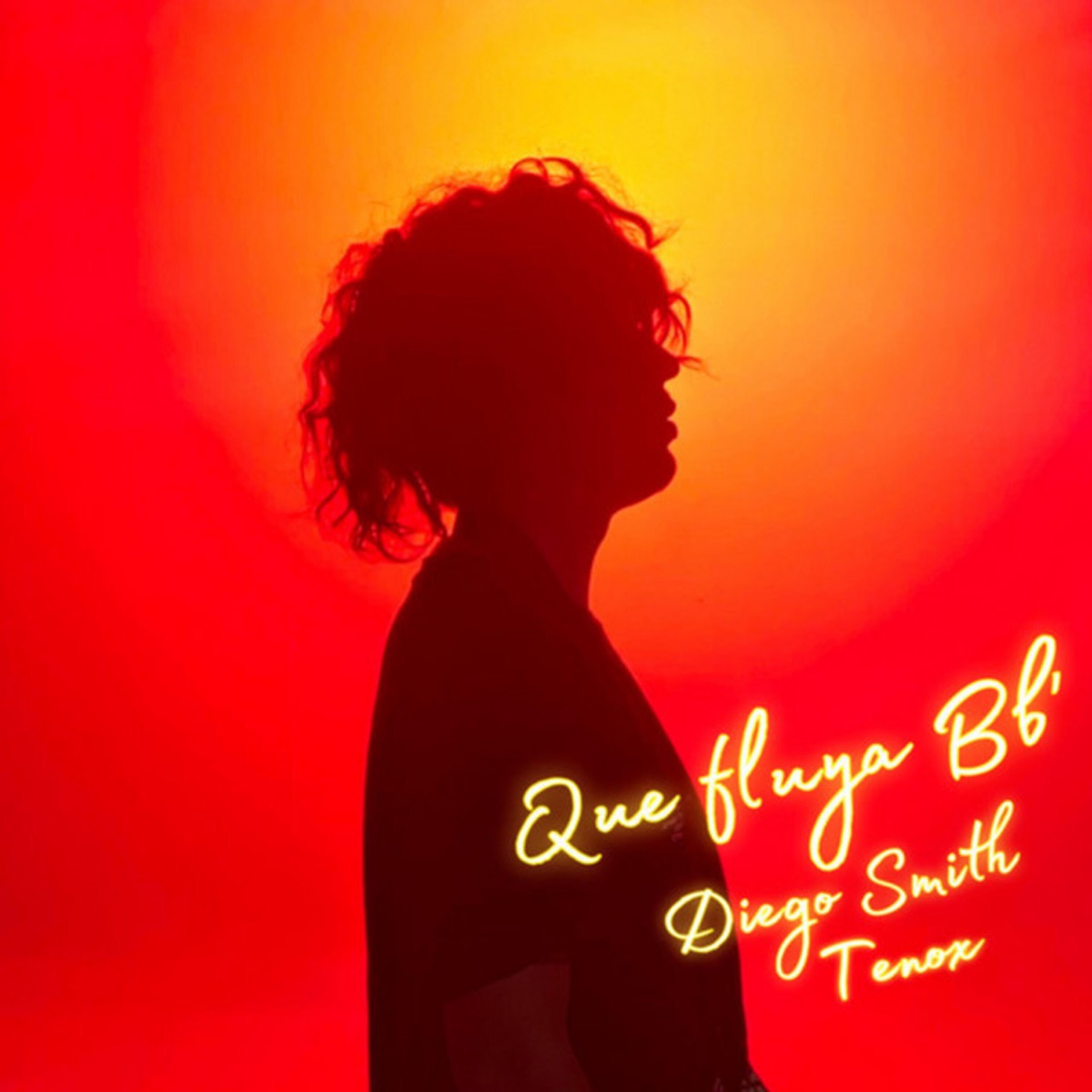 Que Fluya Bb' - Single by Diego Smith & D Tenox album cover