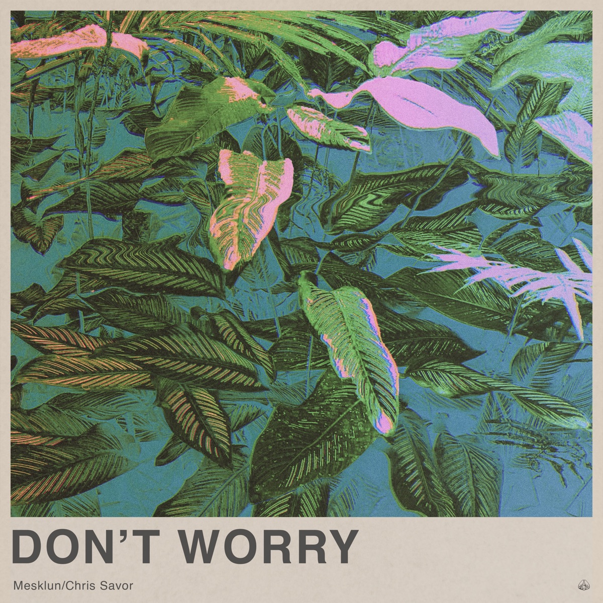 Don't Worry - Single by Mesklun & Chris Savor album cover