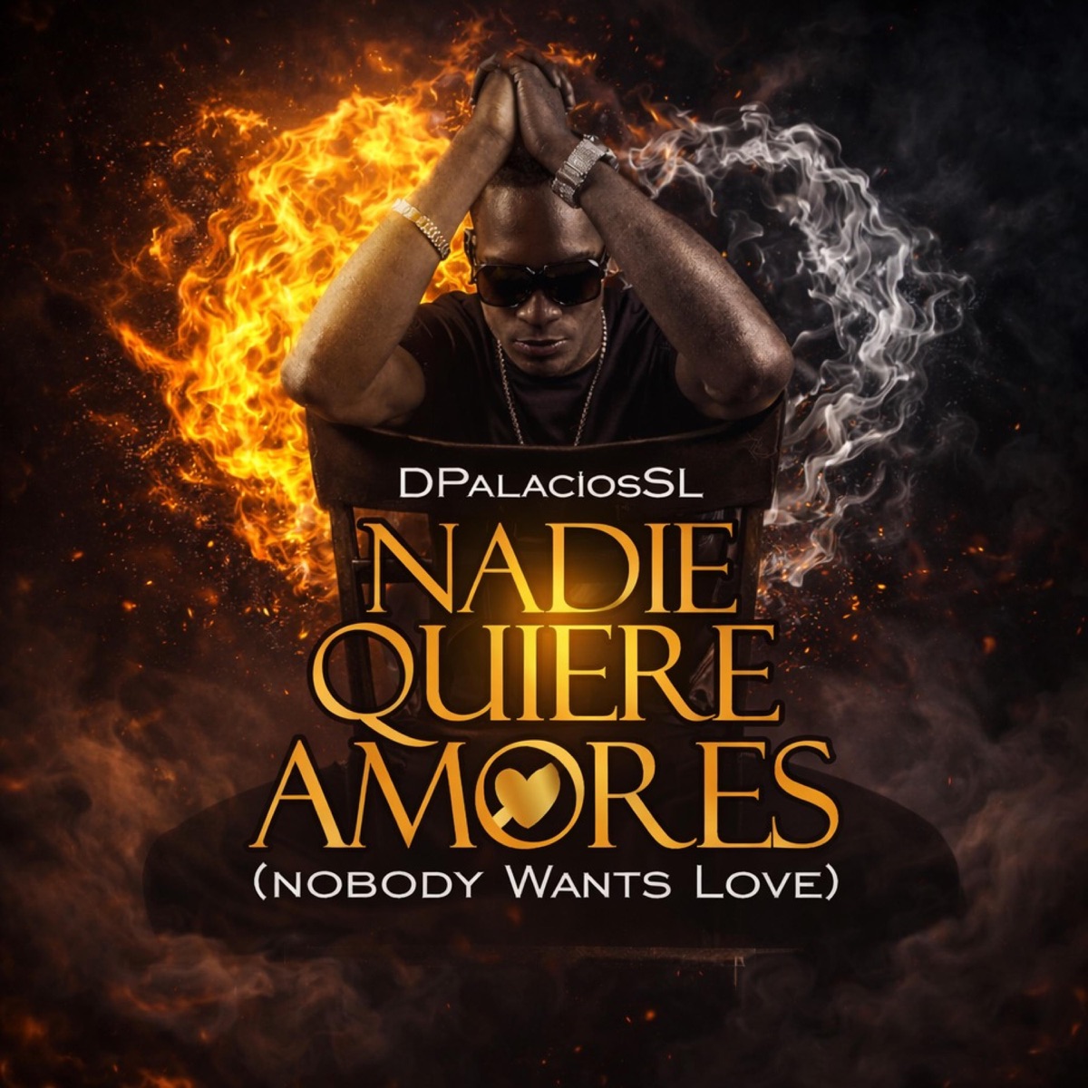 Nadie Quiere Amores - Single by DPalaciosSL album cover