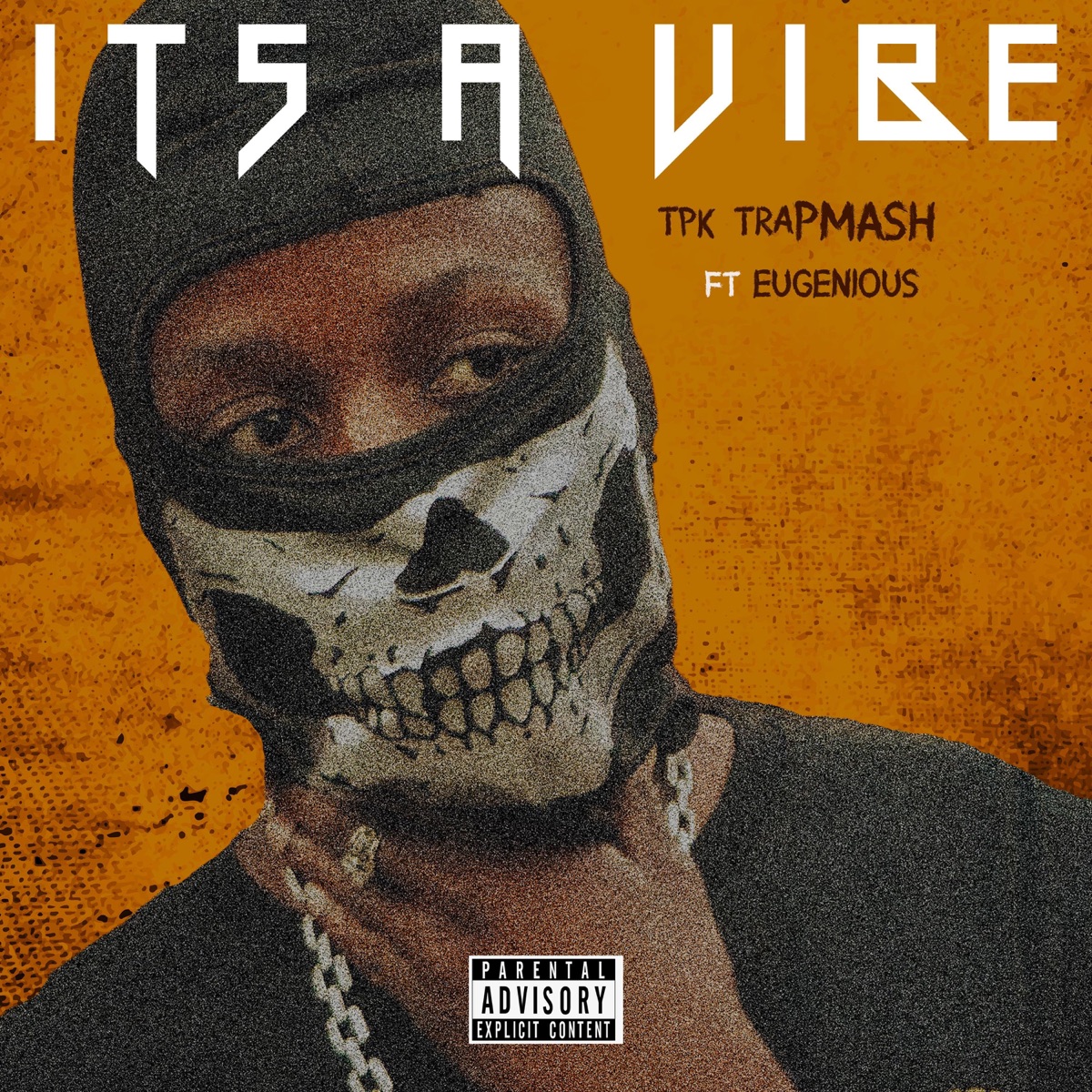 IT'S A VIBE (feat. Eugenious SA) - Single by Tpk Trapmash album cover