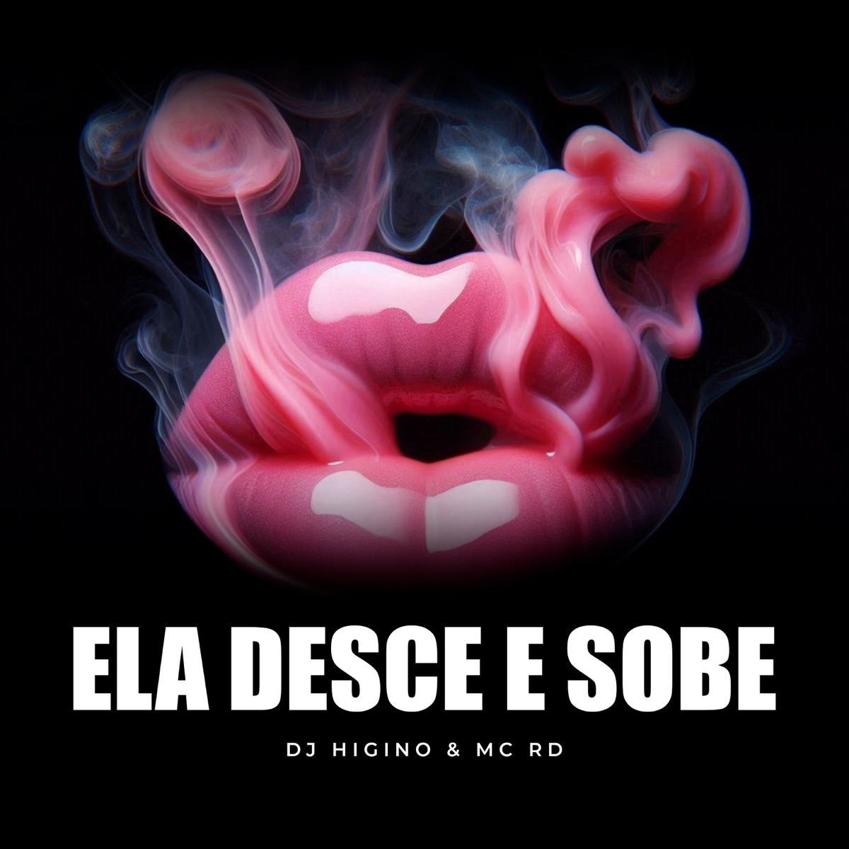 Ela Desce e Sobe - Single by Dj Higino & Mc Rd album cover