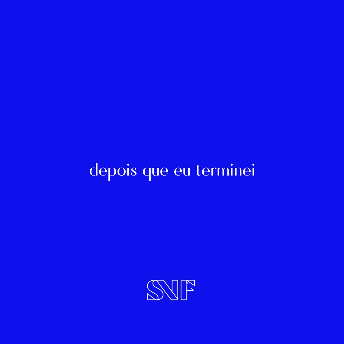 Depois que eu terminei - Single by SNIF album cover