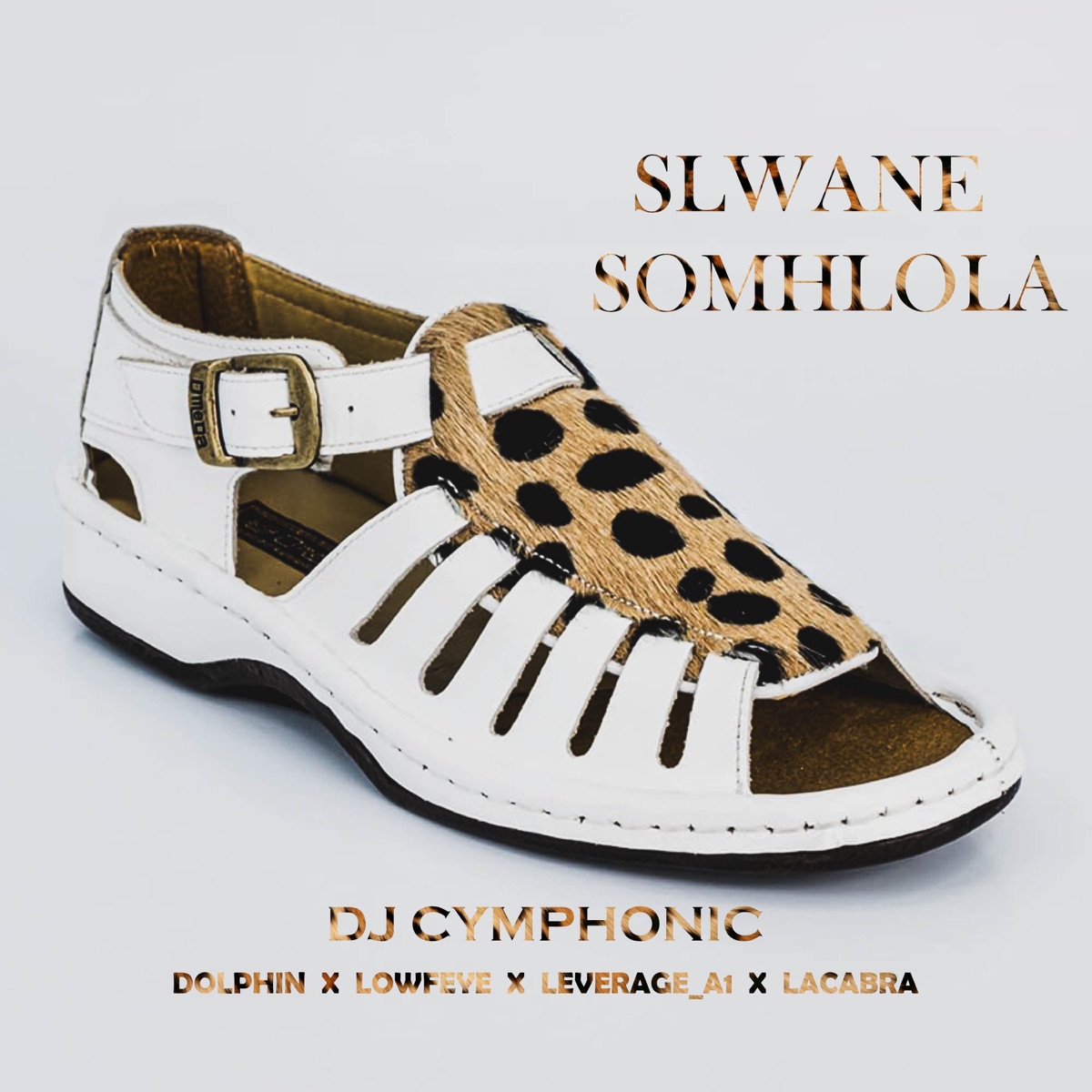 Slwane somhlola (feat. Leverage_A1, Lowfeye, LaCabra & Dolphin no Ntshebzin) - Single by DJ Cymphonic album cover