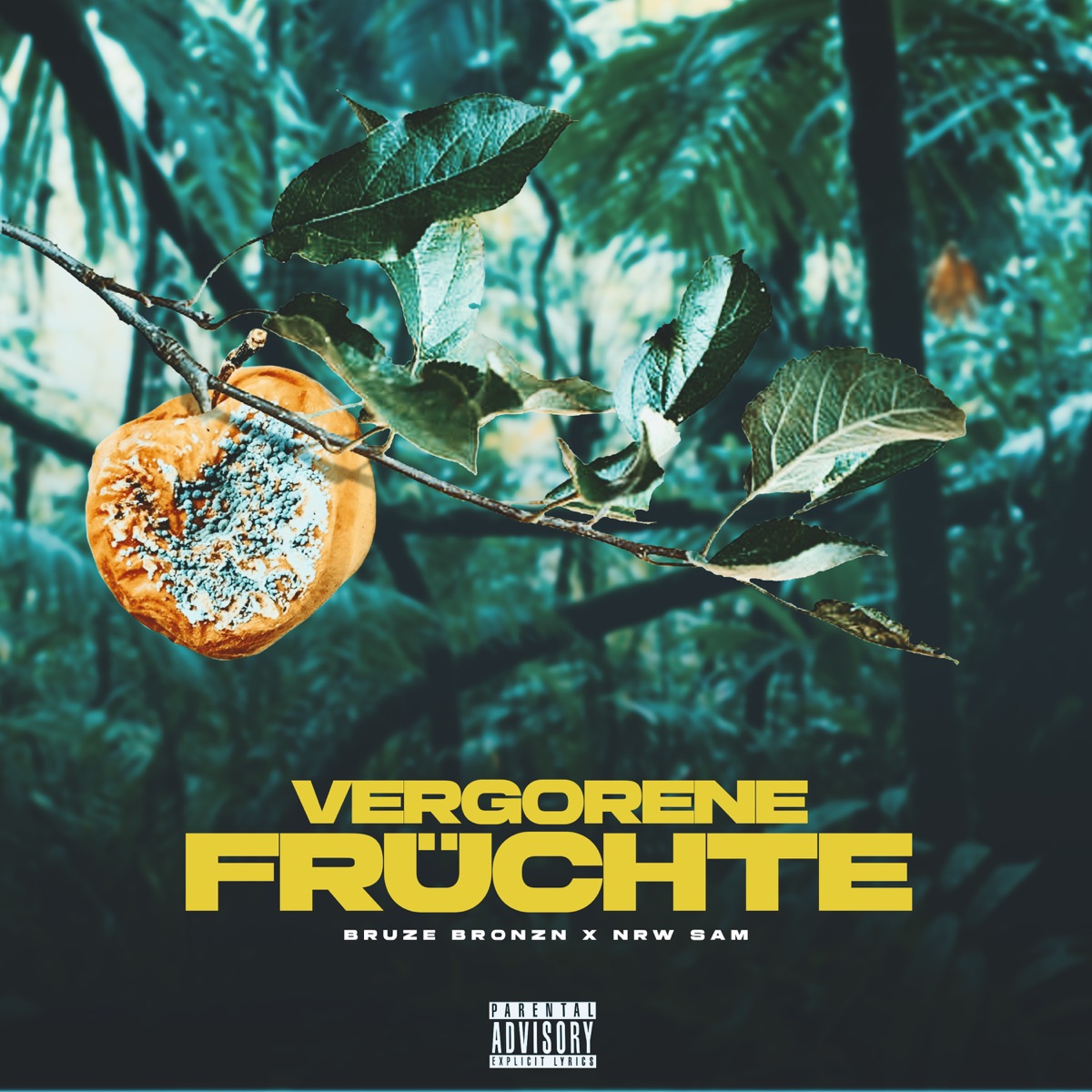 Vergorene Früchte - Single by Bruze Bronzn, NRW Sam & Bronzn & Die Gang album cover